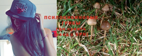дурь Богданович