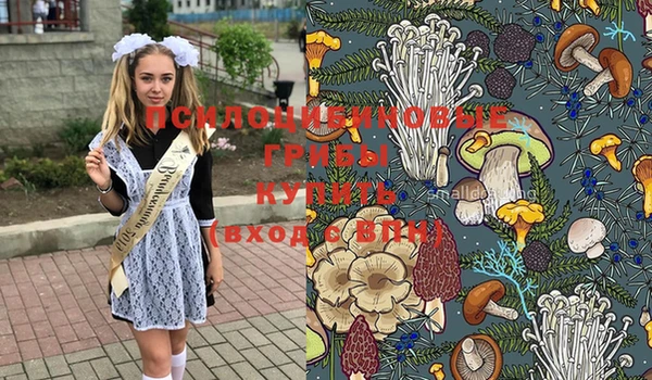 jwh Беломорск