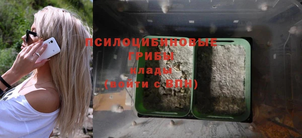 соль курить ск Белокуриха