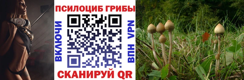 Галлюциногенные грибы ЛСД  Купить закладки  Липки 